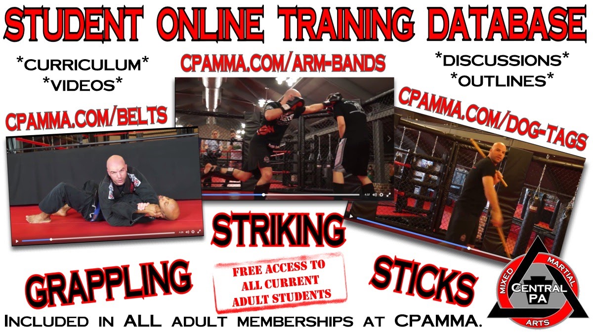 Online University Central PA Mixed Martial Arts