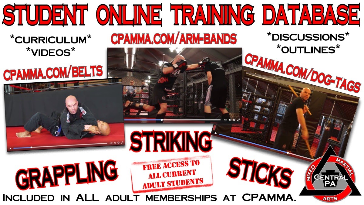 online mma training