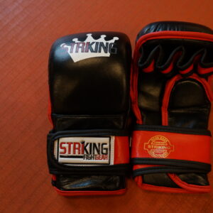 MMA Training Gloves